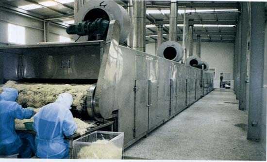 DWF系列氣流噴射式帶式干燥機